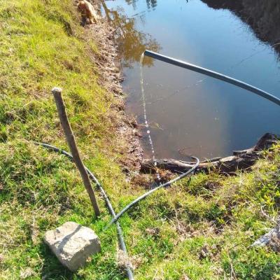 Image 2024 05 03 20b