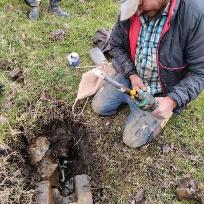 Image 2024 05 20 17.32.49